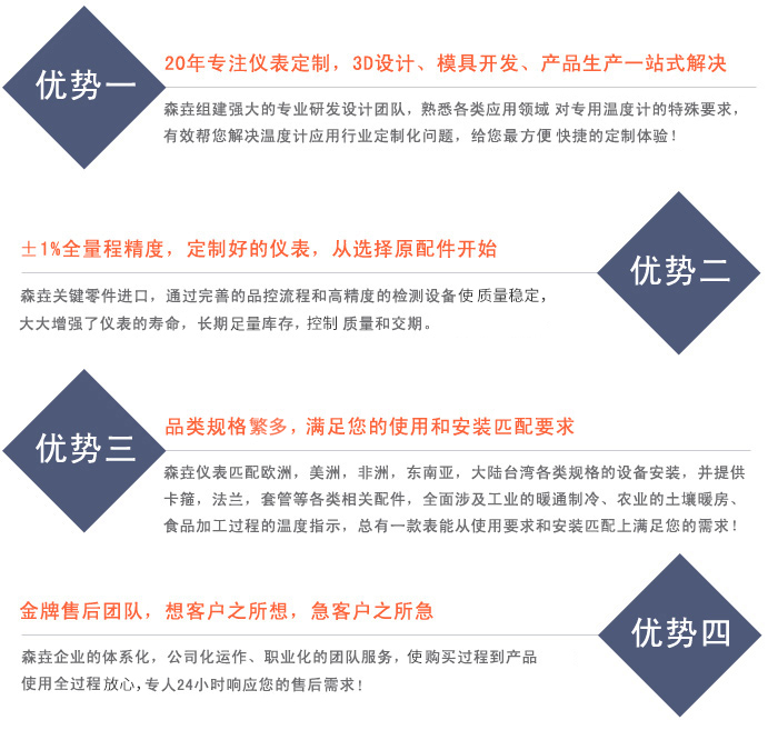 森垚——打造您企業的專屬儀表