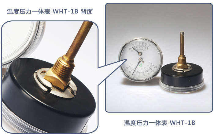 溫度壓力一體表WHT-1B