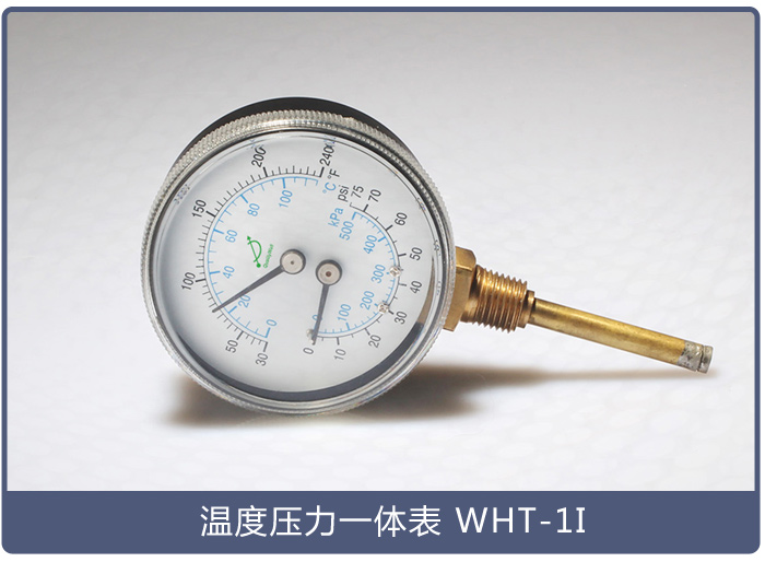 溫度壓力一體表WHT-1I