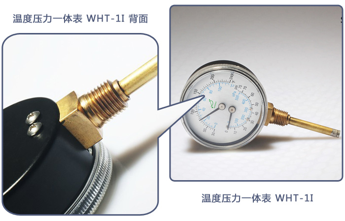 溫度壓力一體表WHT-1I