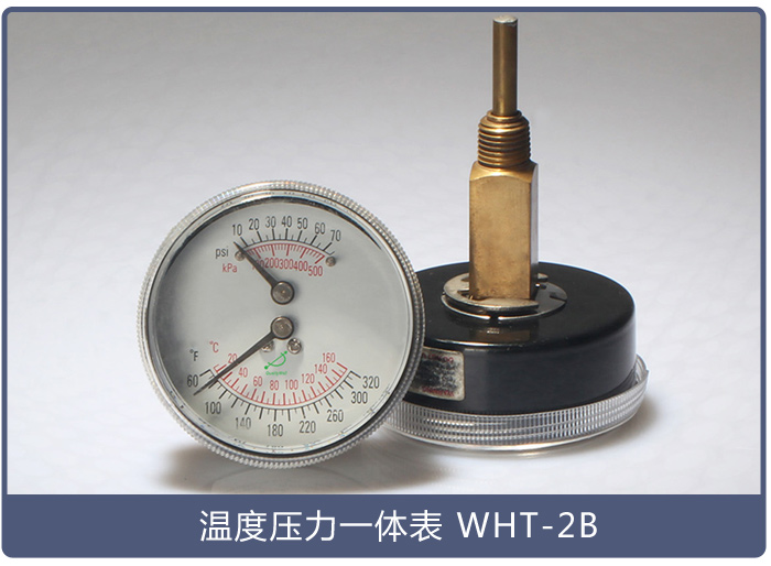溫度壓力一體表WHT-2B