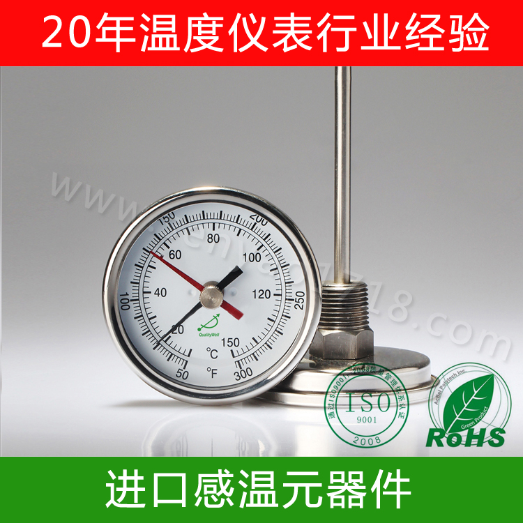 雙金屬溫度計型號T300MAX 雙金屬溫度計型號T300MAX