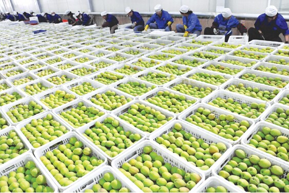 冷凍冷藏食品.jpg 冷凍冷藏食品.jpg