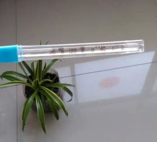 水銀體溫計 水銀體溫計