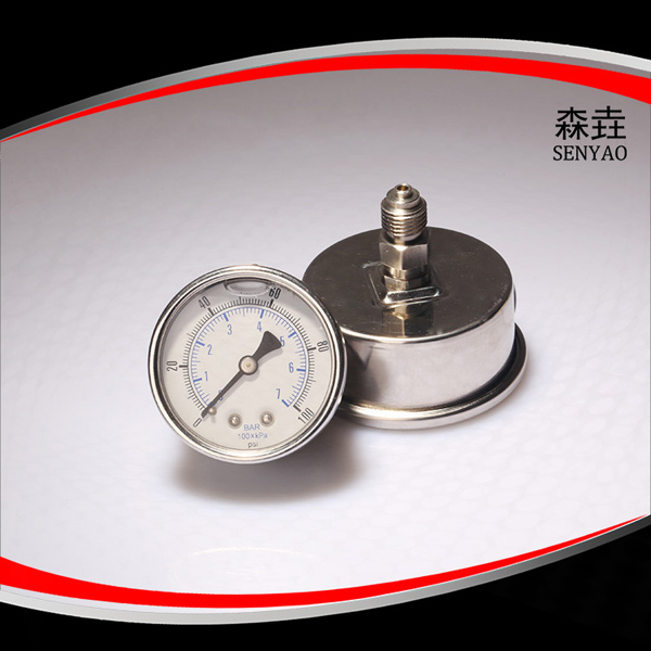 充油壓力表 充油壓力表