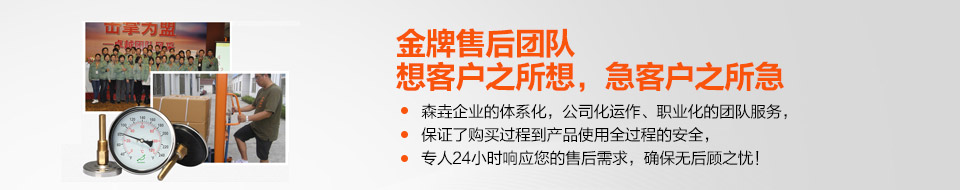 金牌售后團(tuán)隊(duì),想客戶(hù)之所想,急客戶(hù)之所急 金牌售后團(tuán)隊(duì),想客戶(hù)之所想,急客戶(hù)之所急