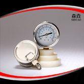 徑向充油壓力表 型號:PG400B(A)VNDGG 徑向充油壓力表 型號:PG400B(A)VNDGG