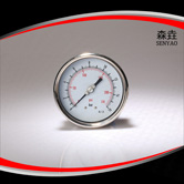 偏心軸向充油壓力表 型號:PG400BLNEGD 偏心軸向充油壓力表 型號:PG400BLNEGD