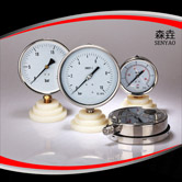 徑向充油壓力表 型號(hào):PG600A(B)VNEGT 徑向充油壓力表 型號(hào):PG600A(B)VNEGT