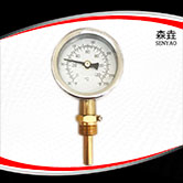 熱水鍋爐用徑向溫度計 型號:I221H 熱水鍋爐用徑向溫度計 型號:I221H